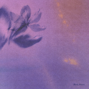 猛男猛插粉嫩美女小穴免费高清视频
