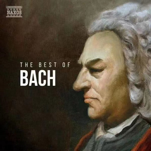 猛男猛插粉嫩美女小穴免费高清视频
